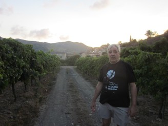 Manel Aisa una passejada per les vinyes de Porrera Priorat