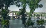 img695