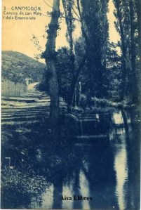 Camprodón nº 3 Camins de Can Moy i dels Enamorats. Ed. Fototipia Thomas Barcelona 11781  s/f (años 20?)  20 € 