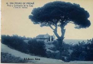 San Pedro de Premiá Pino y Santuario de la Cisa nº 16 ed. L Roisin fot. Barcelona s/f (años 20?) 15 € 